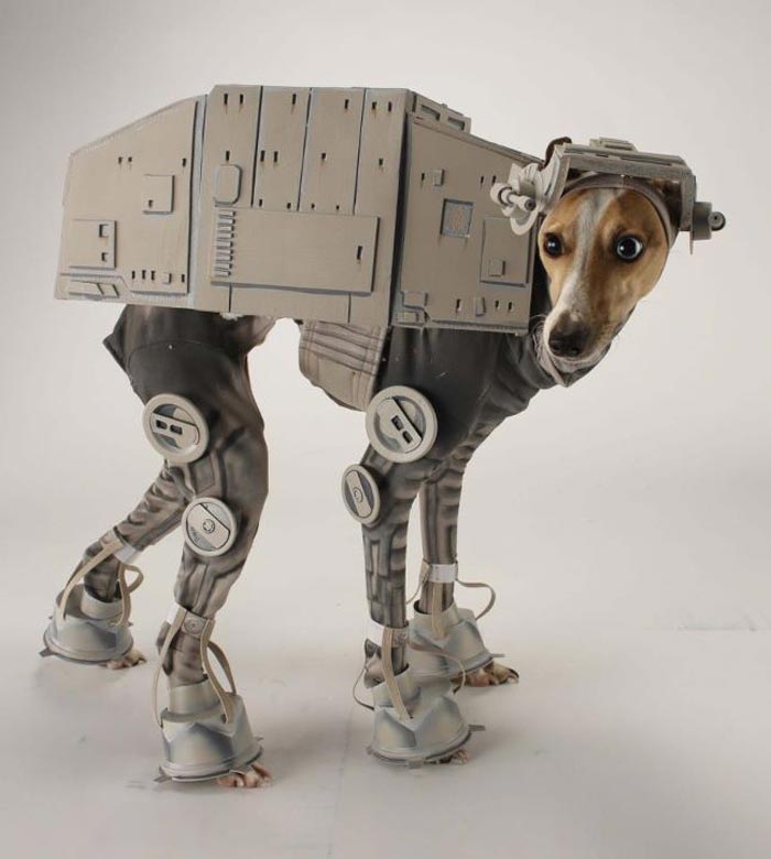 Costume Star Wars pour Chien