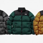 Doudounes Supreme x The North face