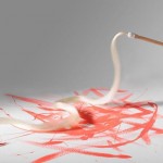 Paint Evolution pour Valentine