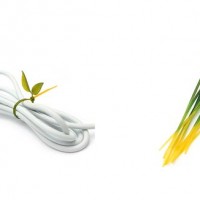 Attaches Feuilles Twin - Lot De 3, Nylon Résistant, Pour Jardin, Câbles, Plantes - Vert - 6