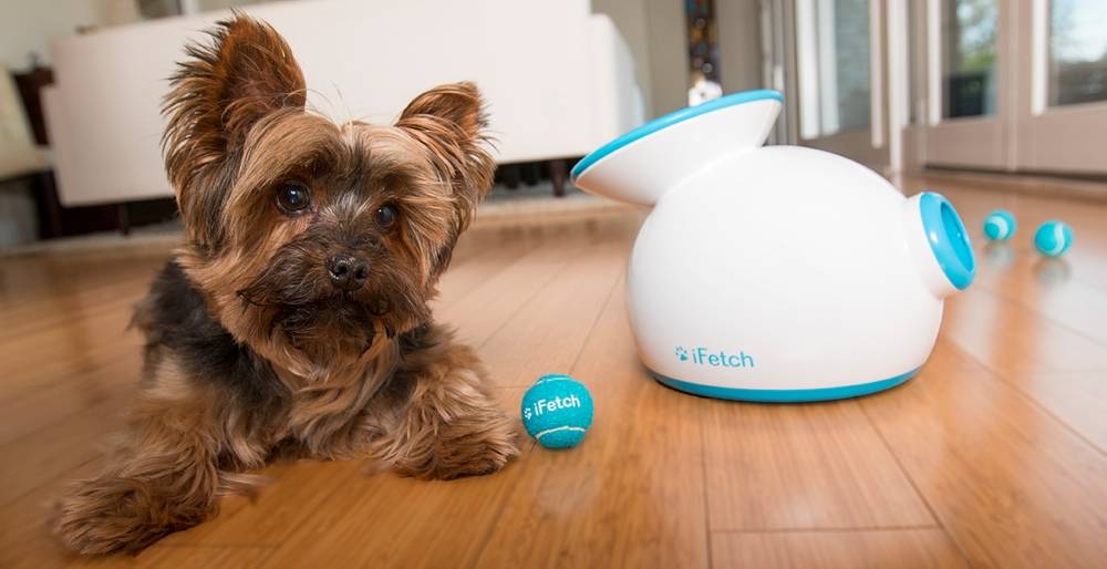 lanceur de balles automatique pour chien lanceur de balles automatique pour chien