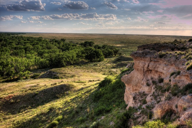 Cimarron National Grassland - Kansas