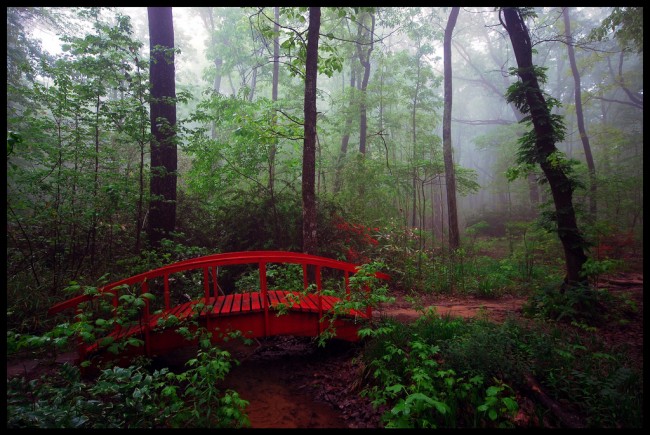 Monte Sano State Park -Alabama