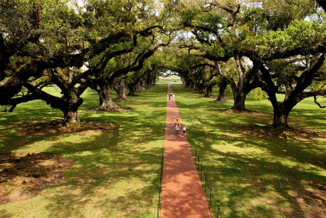 Oak Alley Plantation - Louisiane