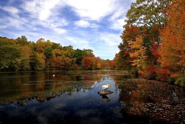 Young’s Pond - Connecticut