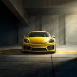 Calandre Porsche Cayman GT4