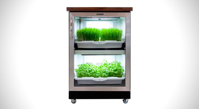Cultivateur urbain d’intérieur